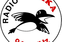 Radio Sraka Novo mesto